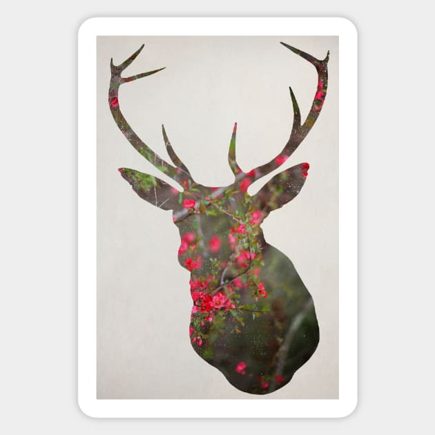 Deer With Quince Sticker by ALICIABOCK
